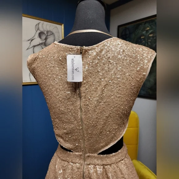 Windsor Sequined Dress With Side Cutouts Size M - Picture 7 of 10